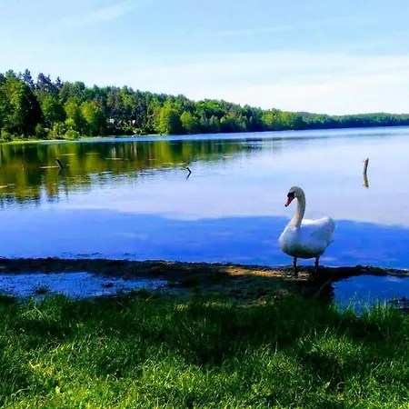 Prázdninový dům Uroczy Domek Na Kaszubach Golubie